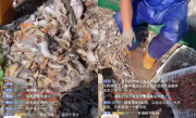日本市民集会抗议福岛核污染水排海中国渔民直播间遭网暴