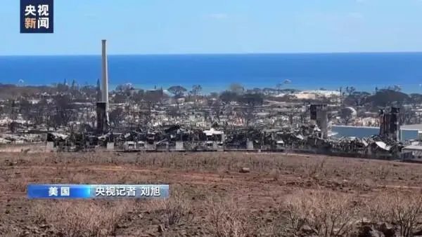 定西地震造成95人死亡_北京大火19人死亡图片_夏威夷大火已造成93人死亡