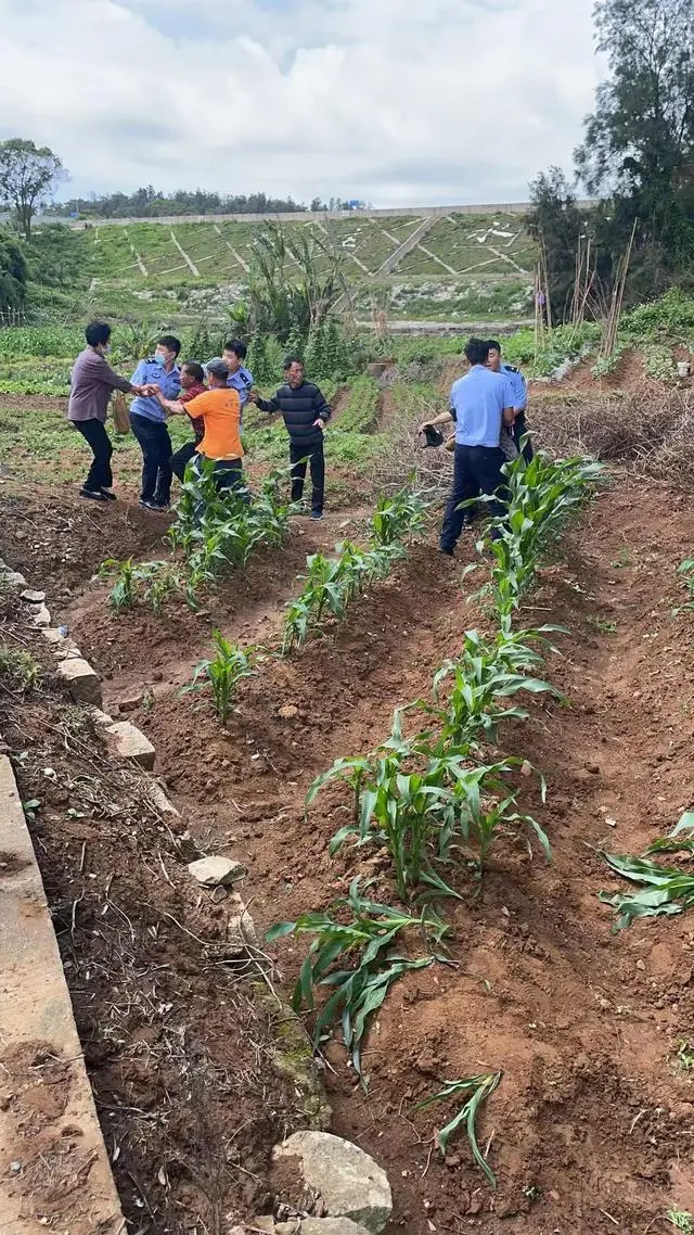 张良遇圯上老人_老人两次遇查起冲突_电脑ip起冲突怎么解决