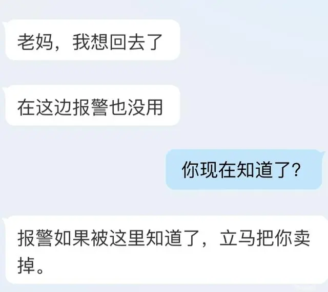 组织320人偷渡11名蛇头_爱丽丝与藏六成年纱名_4名未成年疑被骗至缅北：蛇头仅16岁